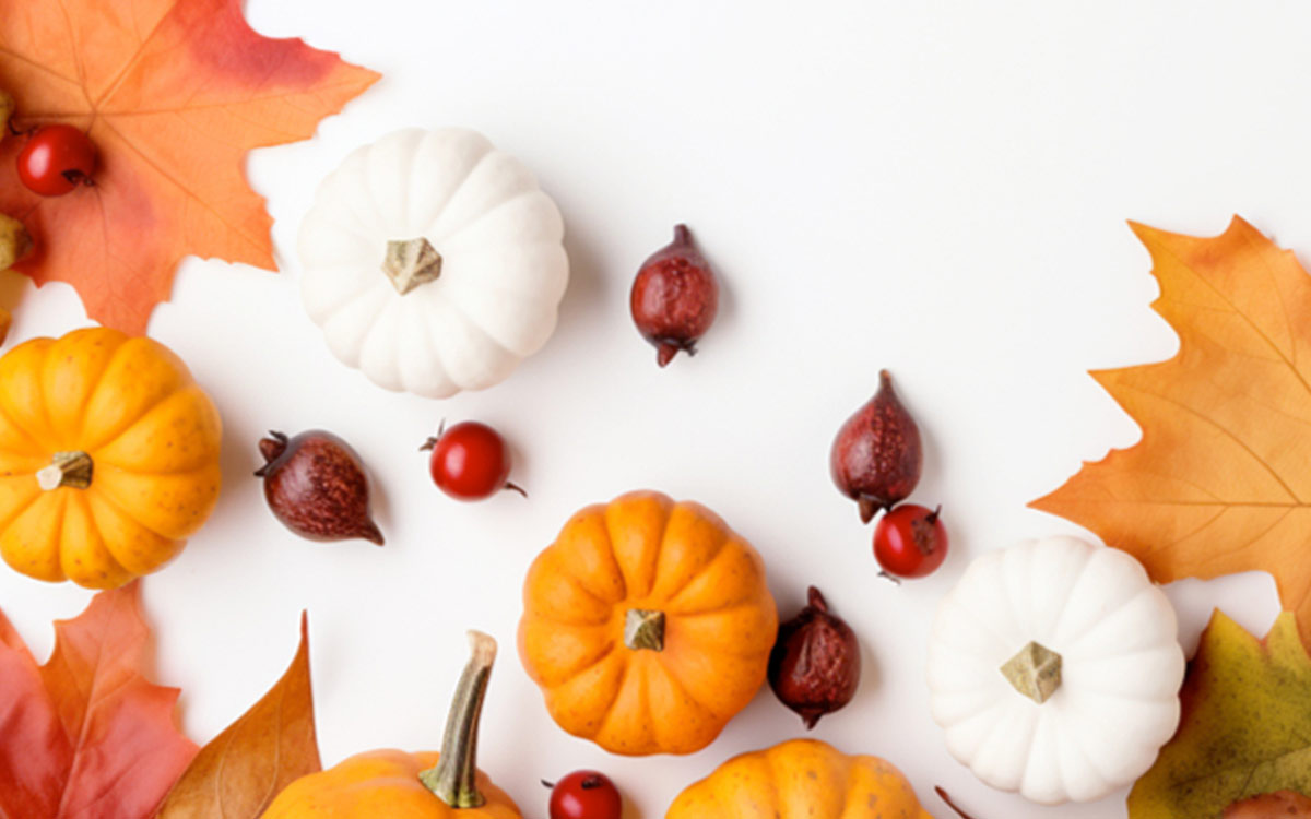 Ocean Beach Girl Waves
