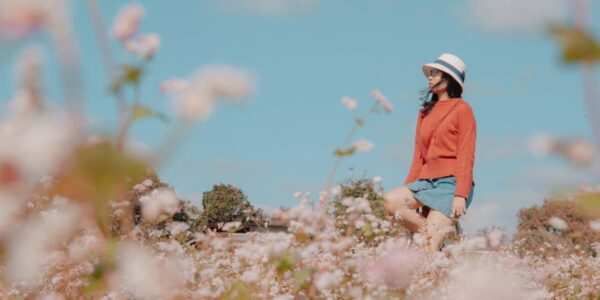 Travel guide for refresh