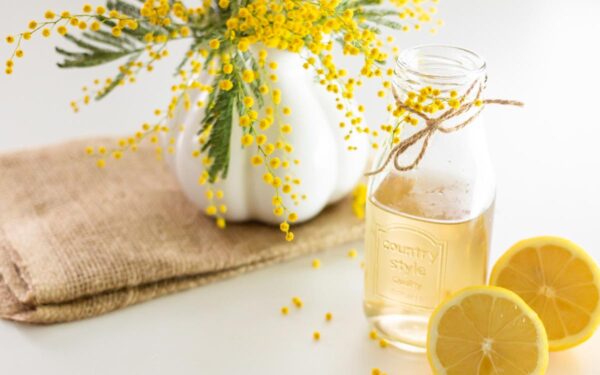 Traveller Rocky Cliffs Barren