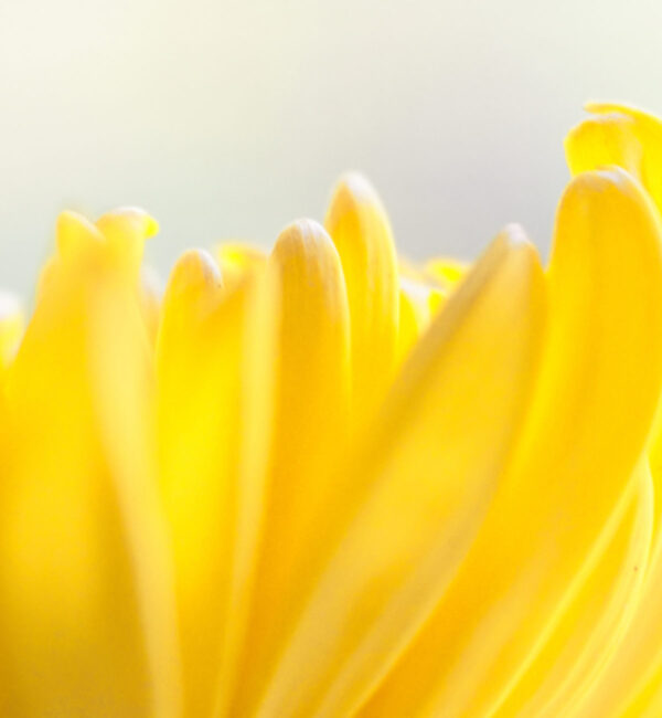 Family Sea Vacation Beach