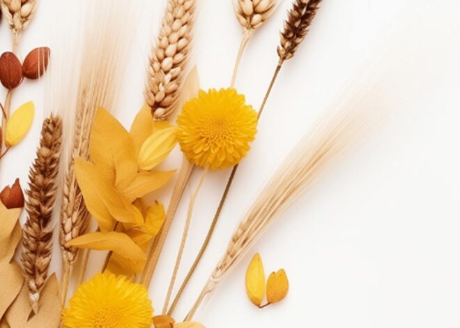 Clouds Concrete Field Grass