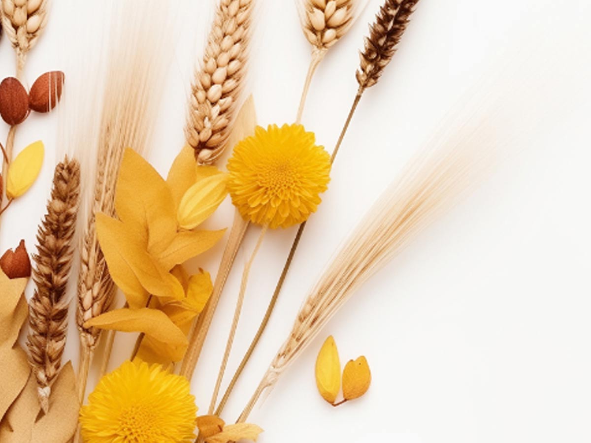 Clouds Concrete Field Grass