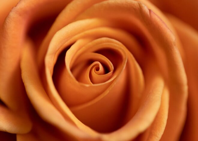 Beach Cliff Coast Couple Hands