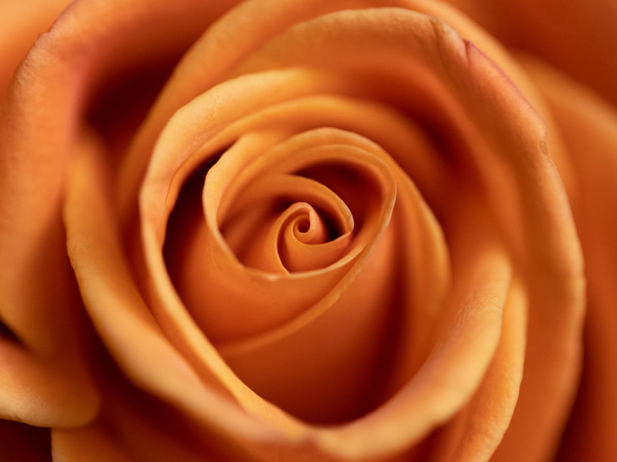 Beach Cliff Coast Couple Hands