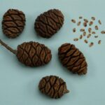 Beach Girl Landscape Nature Trip