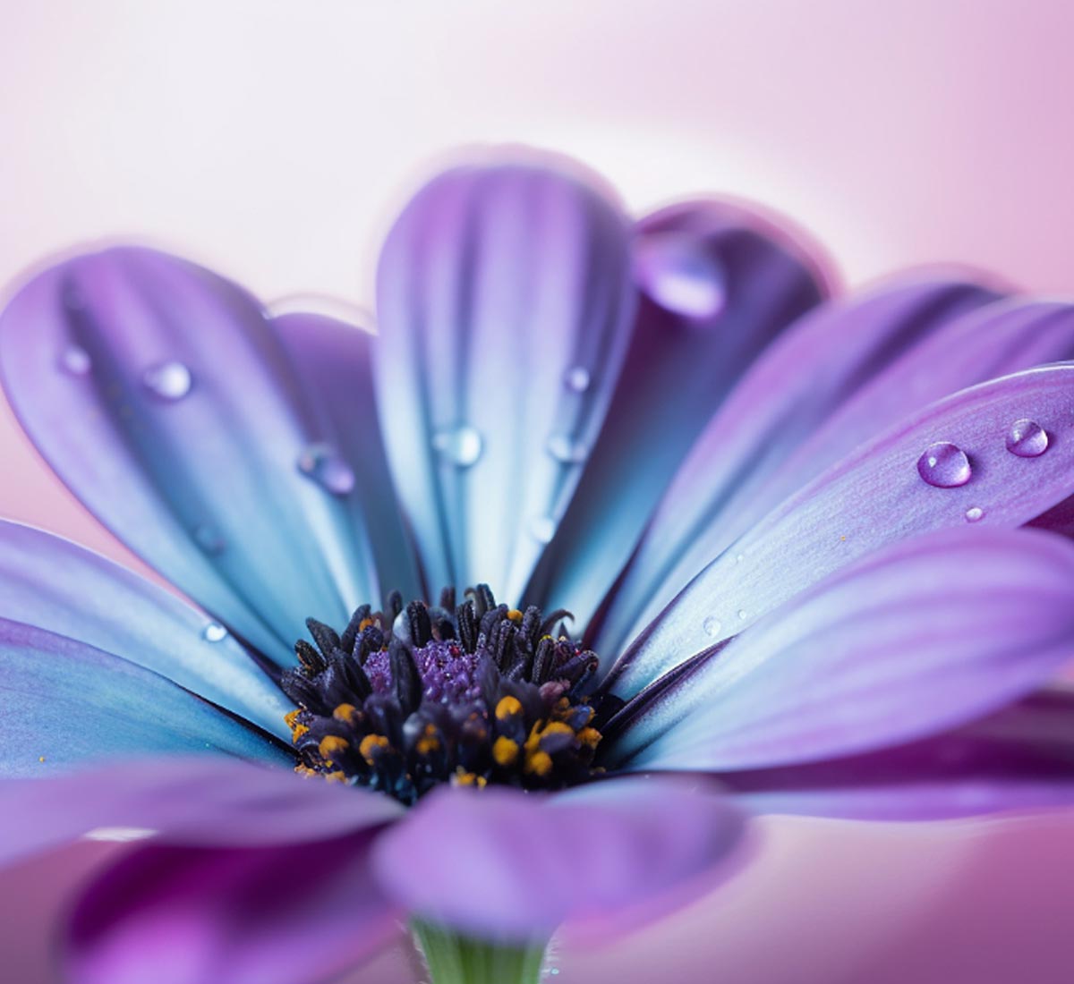 Woman Hike Lake Female Hiker