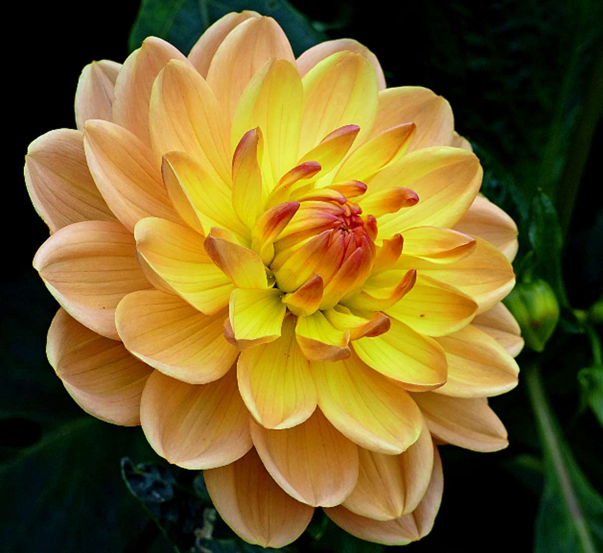 Clouds Concrete Field Grass